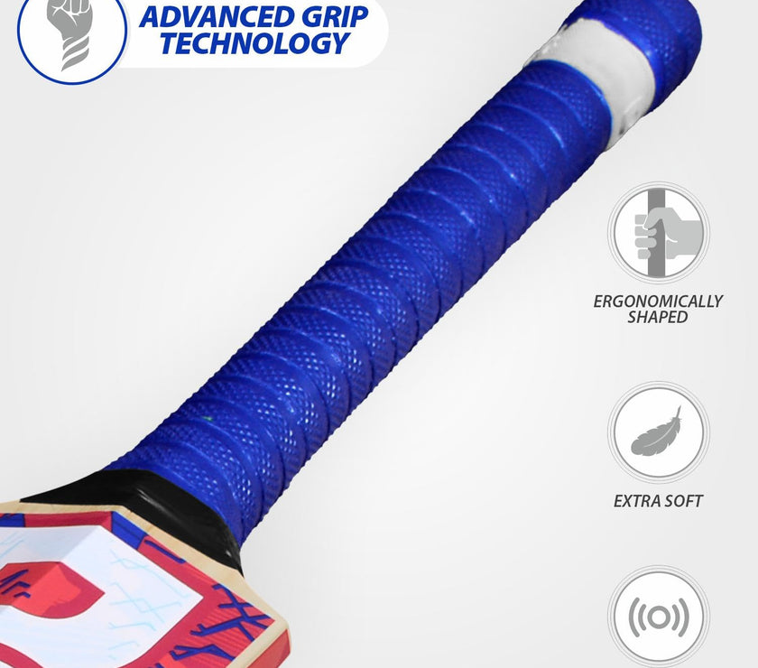 DSC Intense Force Kashmir Willow Cricket Bat for Leather Ball